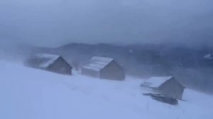 Сон в метель. Вьюга. Звуки для сна