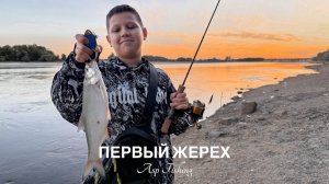 Первый жерех или успеть за 30 минут! Рыбалка на реке Кубань.