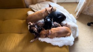 233. Написала жалобу, как Томас сдал экзамены, мы и наш магазин в Италии на гугле.