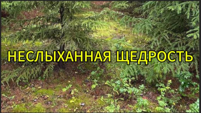 Неслыханная щедрость смотреть онлайн