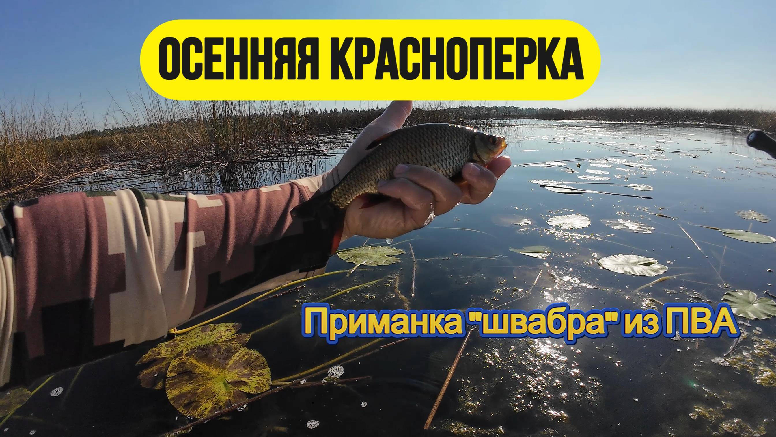 #мормышинг | Приманка из губки ПВА | Осенняя красноперка |