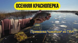 #мормышинг | Приманка из губки ПВА | Осенняя красноперка |