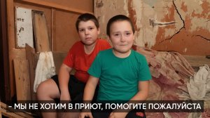 БАБУШКА, МЫ НЕ ХОТИМ В ПРИЮТ. ИХ СЪЕДАЮТ ЗАЖИВО.