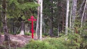 Соловки август 2025г