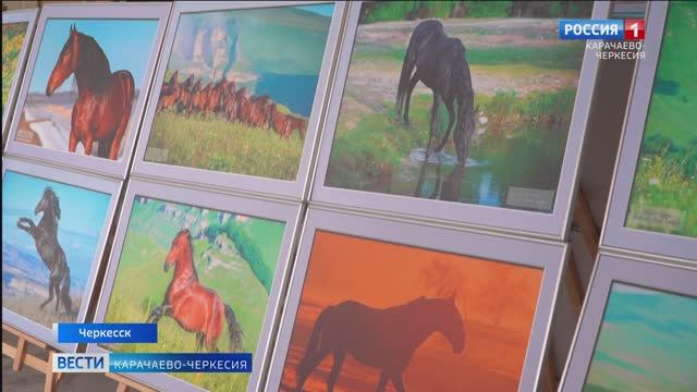 Три новых направления обучения открылись в Карачаево-Черкесии в начавшемся учебном году смотреть онлайн