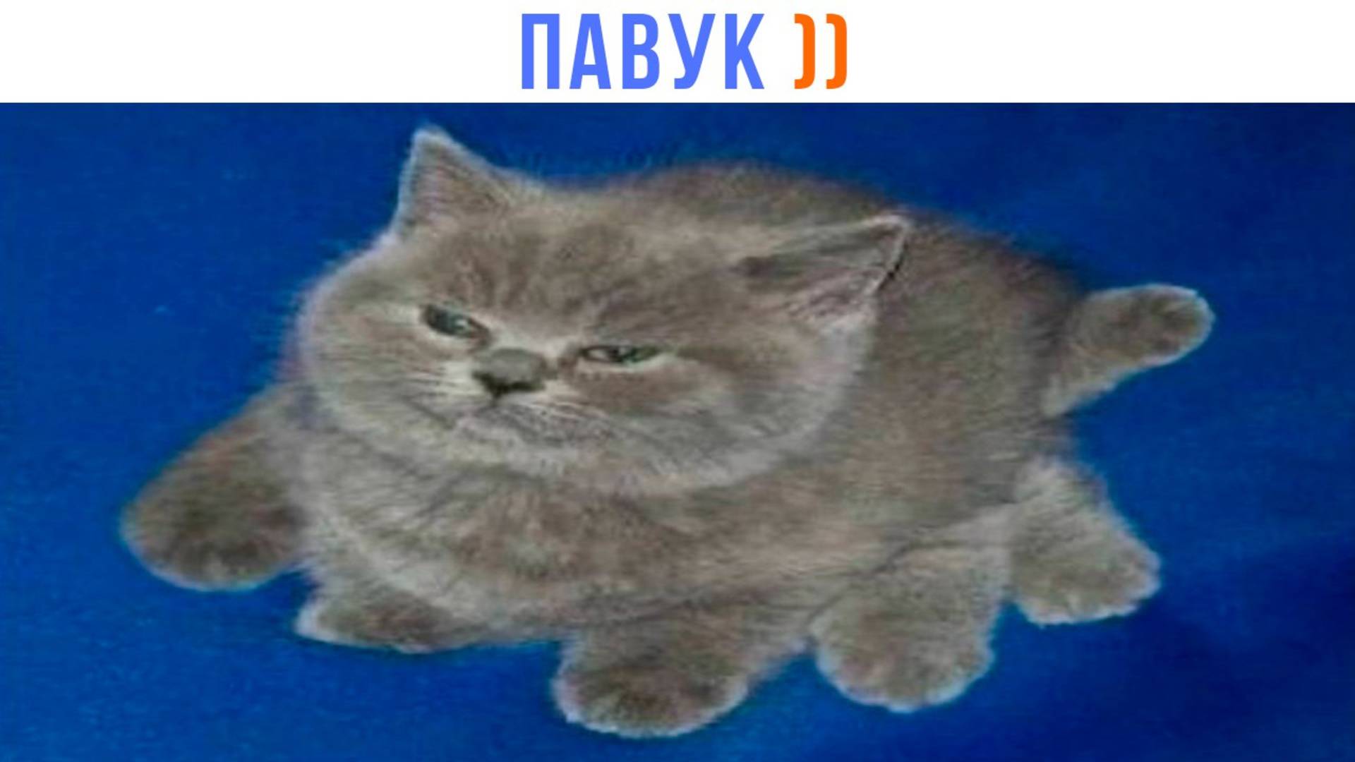 СТРАШНЫЙ ПАВУК ))) Приколы | Мемозг 1663 смотреть онлайн