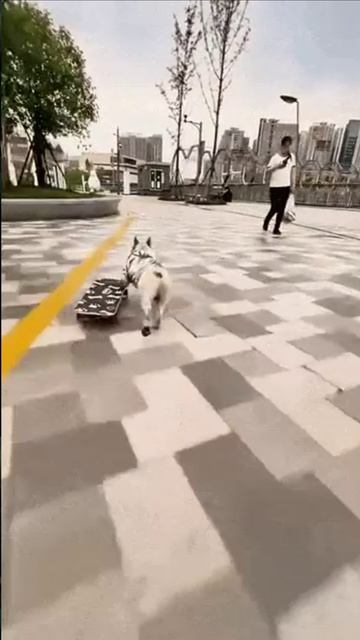 Мастер смотреть онлайн