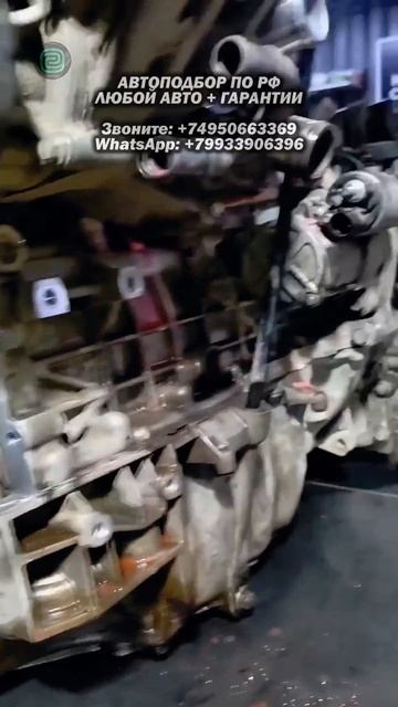 ВЛАДЕЛЬЦАМ CHERY - СИЛЬНО "ПОВЕЗЛО"! #автоподбор #автоприколы #автоюмор #подборавто #привозавто смотреть онлайн