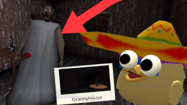 😱ГРЕННИ в приватном сервере ЧИКЕН ГАН! Обзор ПРИВАТКИ!