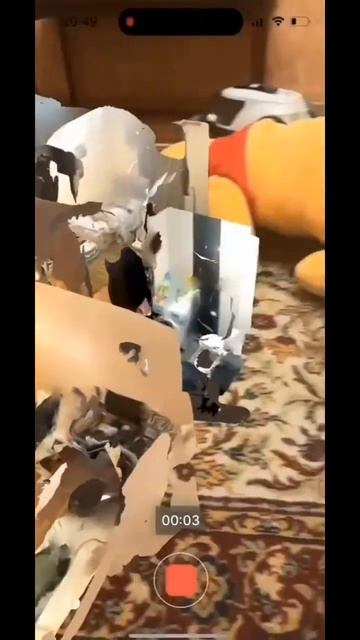 Cкачай это приложение Polycam если тебе не получается сделать