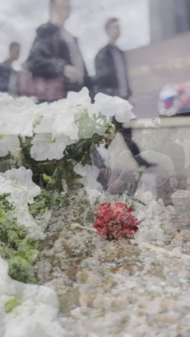 Студенты ВГТУ приняли участие возложении цветов на Чижовском плацдарме смотреть онлайн