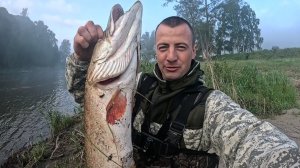 Поймал Трофейную ЩУКУ😳. НА ТАЁЖНЫЙ РЕКЕ . Жарим Рыбу на Костре.