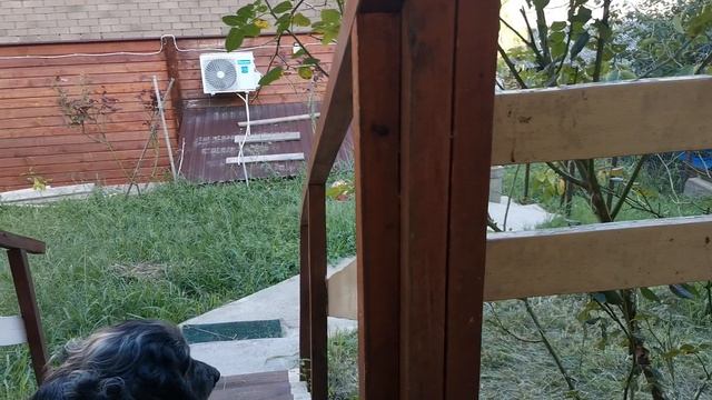 СОЧИ ГОРНОЕ ЛОО ВЕЧЕР 12.09.2025 смотреть онлайн