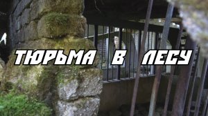 Тюрьма в лесу. Разбросанные кости. Бетонный бункер. Находки с металлоискателем