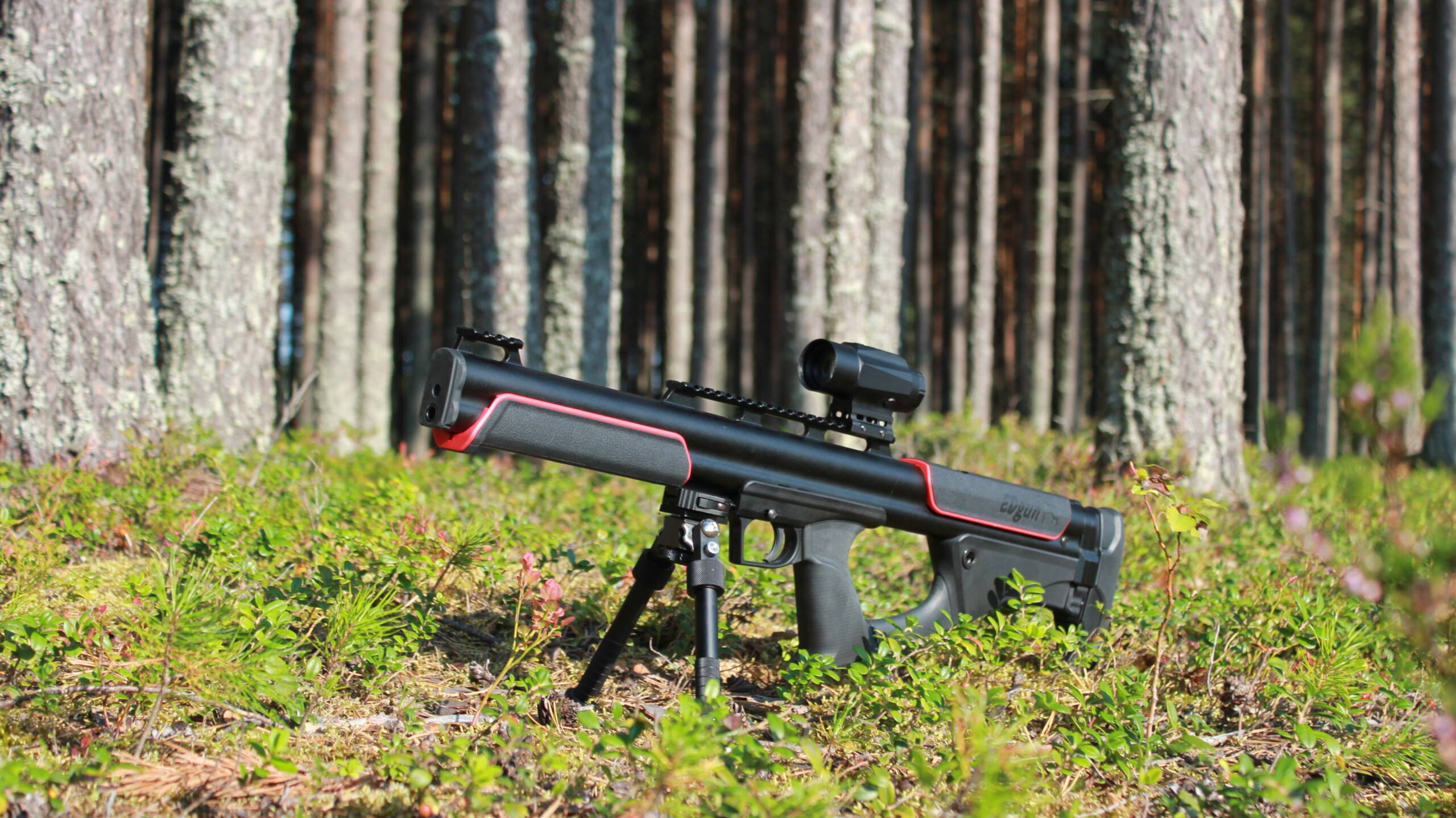 EDgun Fenix 100 meter 1 MOA 5 shots смотреть онлайн