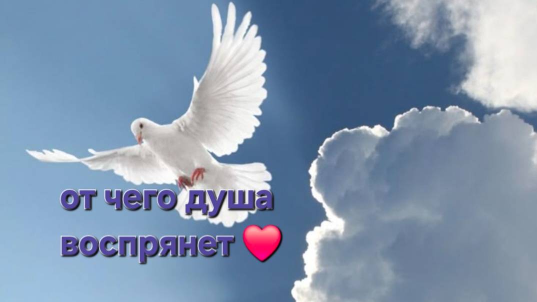 от чего душа воспрянет смотреть онлайн