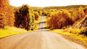 Рыжая подруга осень я один