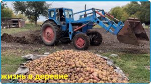 ЛЮДИ ПЛАТЯТ ЗА ЭТО ДЕНЬГИ А в ДЕРЕВНЕ ОНО ПОД НОГАМИ,Рецепт мясных чипсов в термокамере Hobbi Smoke