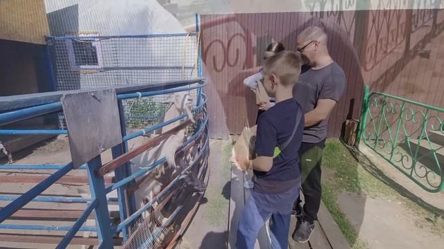 Из Германии в Россию/ Что вы меня снимаете???/ Тюменский Зоопарк/ Тюмень-Сибирь/Новая жизнь в России смотреть онлайн