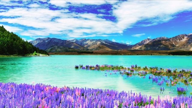 Пейзажи природы