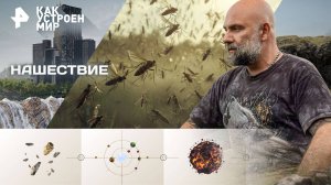 Нашествие — Как устроен мир с Тимофеем Баженовым (12.09.2025)