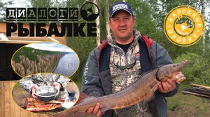 Рыболовное путешествие по Якутии. Ловля осетра на реке Алдан в компании коренных эвенков