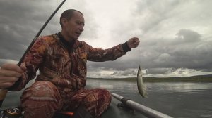 Рыбалка на окуня в сентябре. Нашёл котёл окуней.