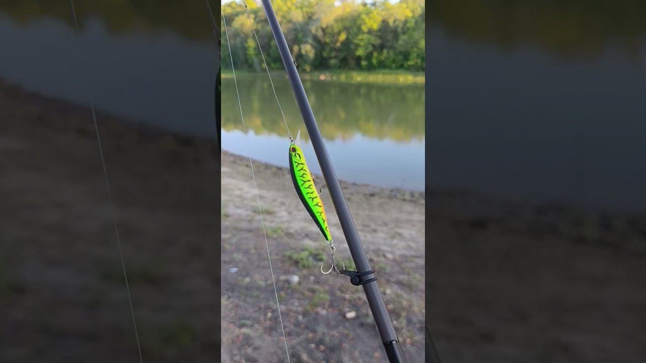 Воблер DUO Realis Jerkbait #спиннинг #твичинг #воблер смотреть онлайн