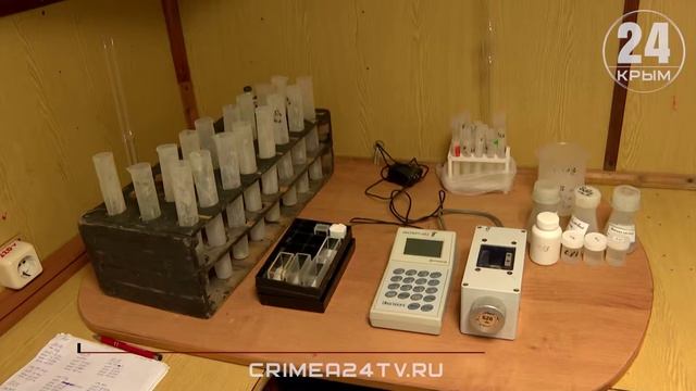 ВНИРО изучает эффективность нереста промысловых рыб и состояние экосистемы в Чёрном море смотреть онлайн