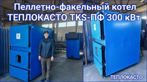 Пеллетно-факельный котел ТЕПЛОКАСТО TKS-ПФ 300 кВт