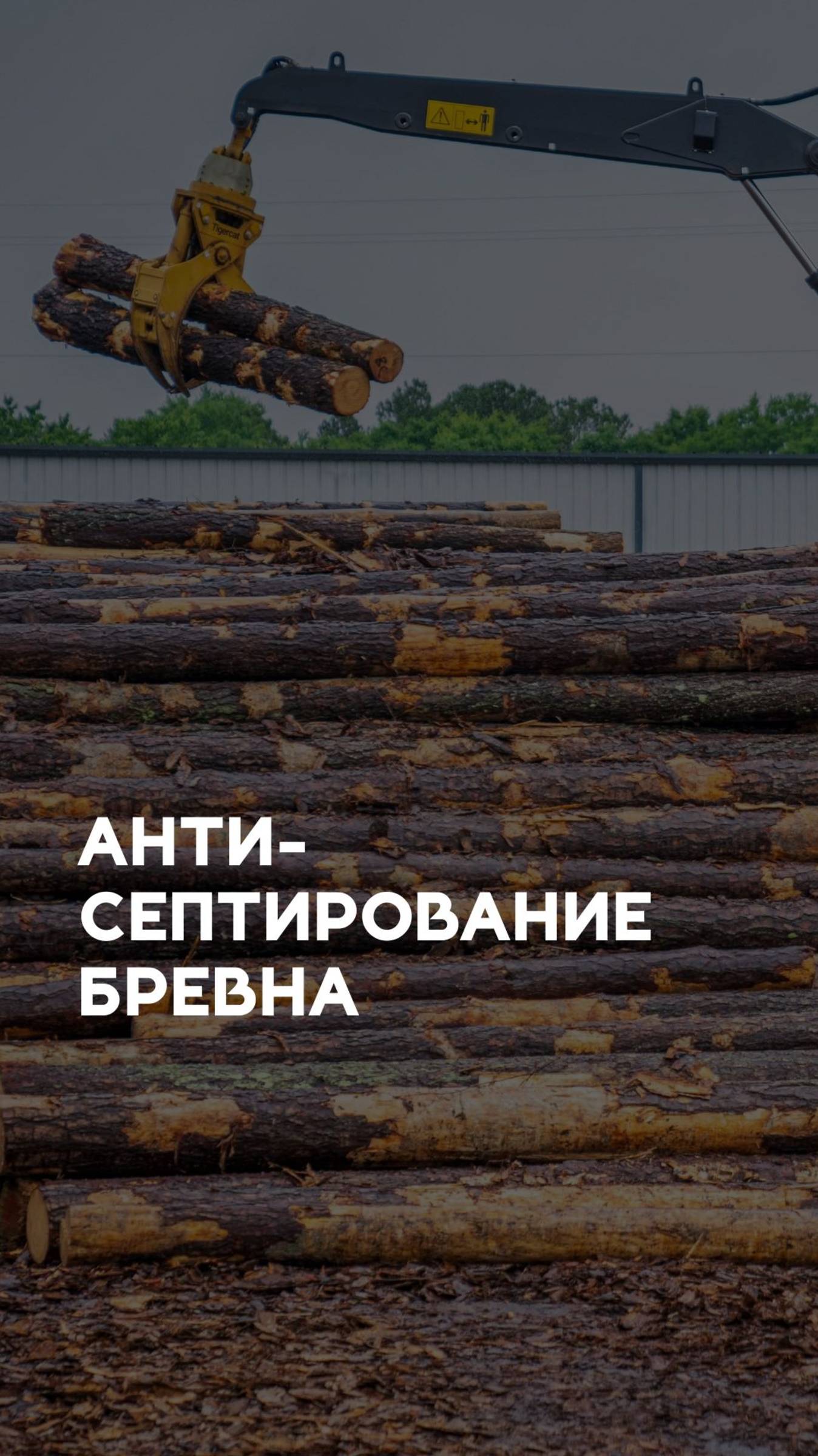 Как мы антисептируем бревно для технологии Post&Beam #рубленныедома #срубыизбревна #ручнаярубка смотреть онлайн