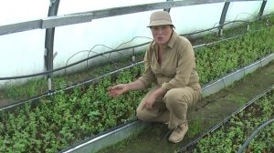 Как работают принципы пермакультуры Часть 1