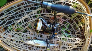 Десна. Мормышинг, вечером 10 сентября 2025 года