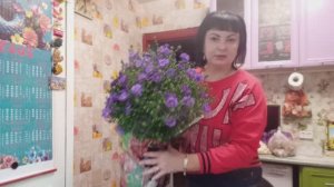 РЕШИЛА СЕБЯ ПОБАЛОВАТЬ, СХОДИЛА НА РЫНОК, КУПИЛА БЕЛОРУССКИЕ ПРОДУКТЫ