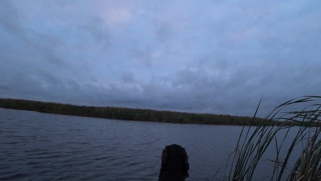 Охота на утку в Тамбовской области 2025 смотреть онлайн