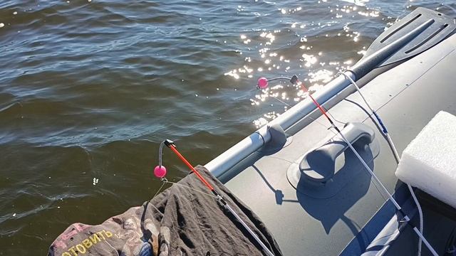 Агрессивная поклёвка густеры.