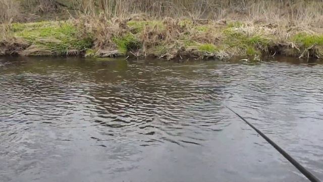 Озернинское водохранилище, май 2022, год , река Озерна смотреть онлайн