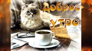 С ДОБРЫМ УТРОМ ! Красивая песня ДОБРОЕ УТРО!