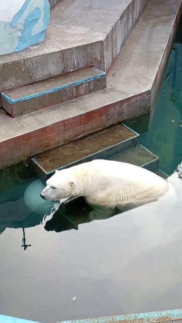 Кай караулит свой шар 11.09.2025 смотреть онлайн