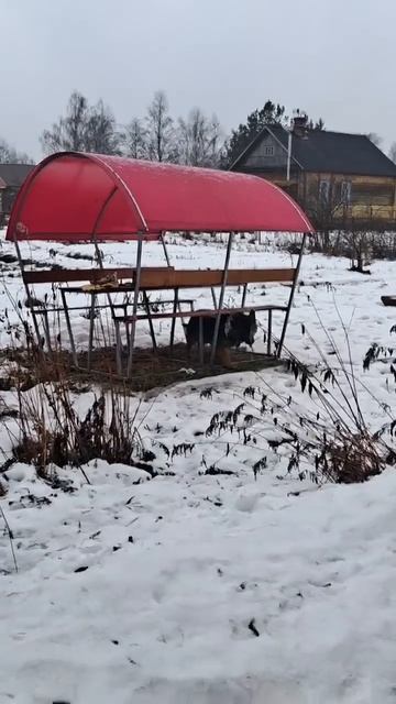 Как Лудик делал заначки) смотреть онлайн