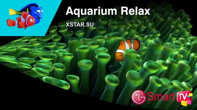 Aquarium LG Smart TV