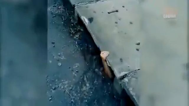 белые кораблики прикол//ОНО #оно#оно юмор#топ 10#приколы#топ 5#fail blob#кринж смотреть онлайн