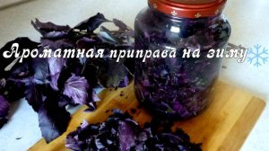 Приправа на зиму! Приготовь аромат лета базиликовое масло! Как сохранить базилик на зиму без стерили