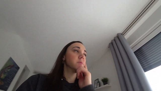 Домашний влог/ Пробуем новую камеру SONY FDR-X3000/ Жизнь в Германии смотреть онлайн