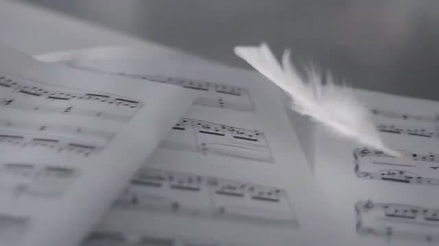 RADO   True Open Heart