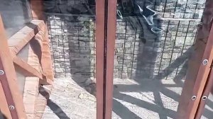 Мягкие двери для веранды беседки.  Как легко и быстро установить дверь, с клипсой МАХ.