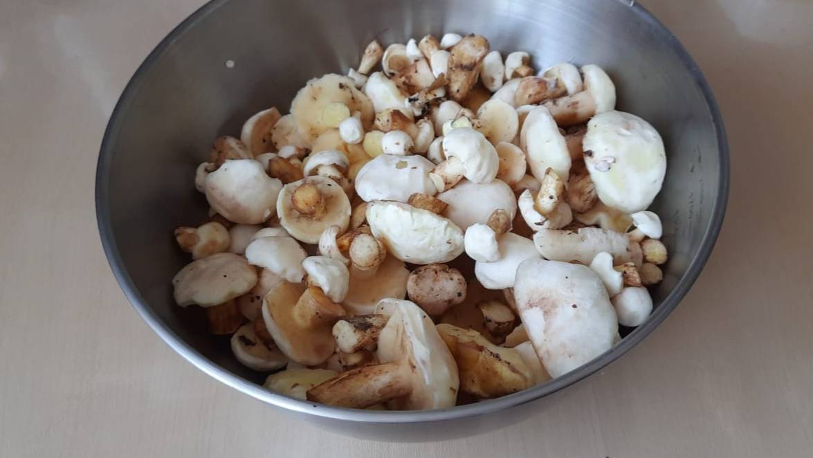 Жареные грибы для хранения на зиму смотреть онлайн