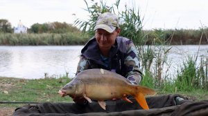 Много поклёвок сазана, рыбалка на флэт фидер