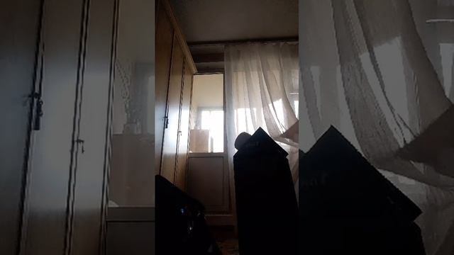 жлтцу смотреть онлайн