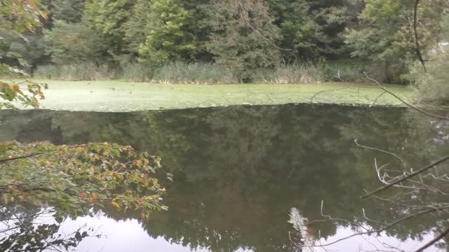 Прогулка по лесу в середине сентября.